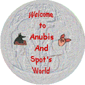 Welcome to Anubis & Spot's world